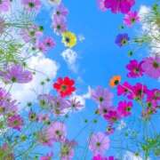 ヒメ日記 2025/10/12 11:25 投稿 さき 横浜おかあさん