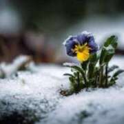 ヒメ日記 2025/12/24 07:25 投稿 さき 横浜おかあさん