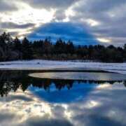 ヒメ日記 2026/01/17 09:15 投稿 さき 横浜おかあさん