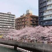 ヒメ日記 2026/03/23 18:11 投稿 さき 横浜おかあさん