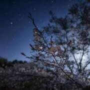 ヒメ日記 2026/04/02 00:05 投稿 さき 横浜おかあさん