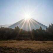 ヒメ日記 2026/04/11 09:10 投稿 さき 横浜おかあさん