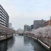ヒメ日記 2026/04/15 09:25 投稿 さき 横浜おかあさん