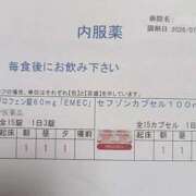 ヒメ日記 2026/07/29 08:45 投稿 さき 横浜おかあさん