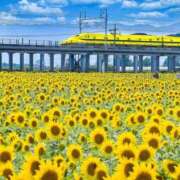 ヒメ日記 2026/08/09 09:05 投稿 さき 横浜おかあさん
