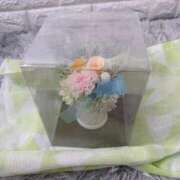 ヒメ日記 2026/02/17 17:27 投稿 桃瀬　りょう マダム美林　札幌店