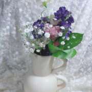 ヒメ日記 2026/01/02 19:54 投稿 桃江あみ 大人めシンデレラ 新横浜店（シンデレラグループ）