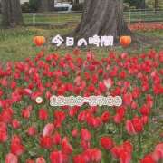 ヒメ日記 2026/03/22 10:53 投稿 桃江あみ 大人めシンデレラ 新横浜店（シンデレラグループ）