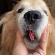 ヒメ日記 2026/03/22 15:44 投稿 桃江あみ 大人めシンデレラ 新横浜店（シンデレラグループ）