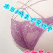 ヒメ日記 2025/11/03 20:51 投稿 反町 寧々 こあくまな熟女たち 本厚木店(KOAKUMAグループ)