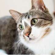 ヒメ日記 2025/08/13 03:57 投稿 Ｎono(のの) AMATERAS(アマテラス)(福山)