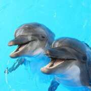 ヒメ日記 2025/08/13 08:57 投稿 Ｎono(のの) AMATERAS(アマテラス)(福山)