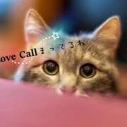 ヒメ日記 2025/08/15 11:33 投稿 Ｎono(のの) AMATERAS(アマテラス)(福山)