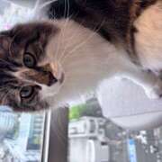 ヒメ日記 2025/08/22 00:29 投稿 Ｎono(のの) AMATERAS(アマテラス)(福山)