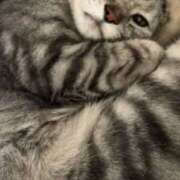 ヒメ日記 2025/08/30 15:56 投稿 Ｎono(のの) AMATERAS(アマテラス)(福山)