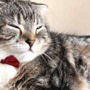 ヒメ日記 2025/08/31 01:42 投稿 Ｎono(のの) AMATERAS(アマテラス)(福山)