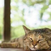 ヒメ日記 2025/08/31 10:25 投稿 Ｎono(のの) AMATERAS(アマテラス)(福山)