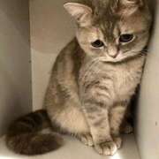 ヒメ日記 2025/08/31 16:16 投稿 Ｎono(のの) AMATERAS(アマテラス)(福山)