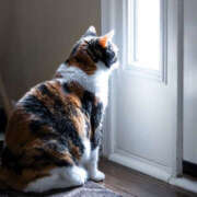 ヒメ日記 2025/09/03 17:16 投稿 Ｎono(のの) AMATERAS(アマテラス)(福山)