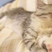 ヒメ日記 2025/09/04 06:28 投稿 Ｎono(のの) AMATERAS(アマテラス)(福山)