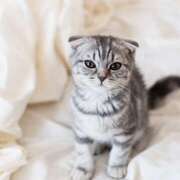 ヒメ日記 2025/09/05 21:00 投稿 Ｎono(のの) AMATERAS(アマテラス)(福山)