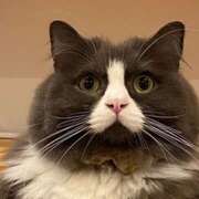 ヒメ日記 2025/09/06 03:40 投稿 Ｎono(のの) AMATERAS(アマテラス)(福山)