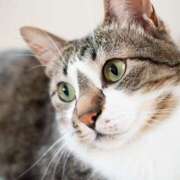 ヒメ日記 2025/09/08 20:55 投稿 Ｎono(のの) AMATERAS(アマテラス)(福山)