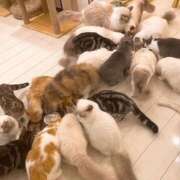 ヒメ日記 2025/09/09 17:31 投稿 Ｎono(のの) AMATERAS(アマテラス)(福山)