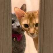 ヒメ日記 2025/09/11 18:12 投稿 Ｎono(のの) AMATERAS(アマテラス)(福山)