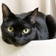 ヒメ日記 2025/09/13 07:19 投稿 Ｎono(のの) AMATERAS(アマテラス)(福山)