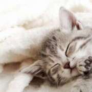 Ｎono(のの) ※無題 AMATERAS(アマテラス)(福山)