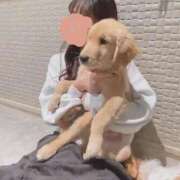 ヒメ日記 2025/11/29 16:44 投稿 あみ 横浜ハートショコラ（シンデレラグループ）