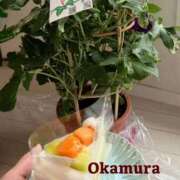 岡村瞳(おかむらひとみ) 他の子の・・・ 鶯谷ナンバーワン
