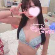 霞せれん 今すぐ👌🏻✨ ブルーバード