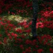 ヒメ日記 2025/10/08 21:04 投稿 える スピード梅田店