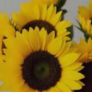 ヒメ日記 2025/08/15 22:57 投稿 らん【極】 恵比寿コレクション　久留米本店