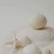 ヒメ日記 2025/08/18 17:13 投稿 らん【極】 恵比寿コレクション　久留米本店