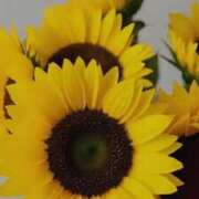 ヒメ日記 2025/09/05 21:33 投稿 らん【極】 恵比寿コレクション　久留米本店