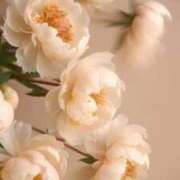 ヒメ日記 2025/09/08 16:43 投稿 らん【極】 恵比寿コレクション　久留米本店