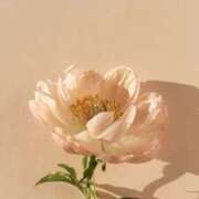 ヒメ日記 2025/09/08 17:43 投稿 らん【極】 恵比寿コレクション　久留米本店