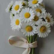 ヒメ日記 2025/09/11 09:16 投稿 らん【極】 恵比寿コレクション　久留米本店