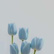 ヒメ日記 2025/09/12 17:53 投稿 らん【極】 恵比寿コレクション　久留米本店