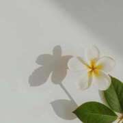 ヒメ日記 2025/09/16 17:53 投稿 らん【極】 恵比寿コレクション　久留米本店