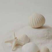 ヒメ日記 2025/09/16 18:03 投稿 らん【極】 恵比寿コレクション　久留米本店