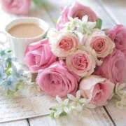 ヒメ日記 2025/10/14 17:03 投稿 らん【極】 恵比寿コレクション　久留米本店