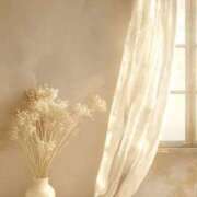 ヒメ日記 2025/10/31 14:43 投稿 らん【極】 恵比寿コレクション　久留米本店