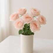 ヒメ日記 2025/10/31 20:53 投稿 らん【極】 恵比寿コレクション　久留米本店