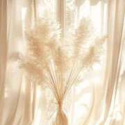 ヒメ日記 2025/11/21 17:33 投稿 らん【極】 恵比寿コレクション　久留米本店