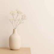 らん【極】 時間延長💕 恵比寿コレクション　久留米本店