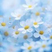 ヒメ日記 2026/01/14 21:16 投稿 ふうか【人妻】 恵比寿コレクション　久留米本店